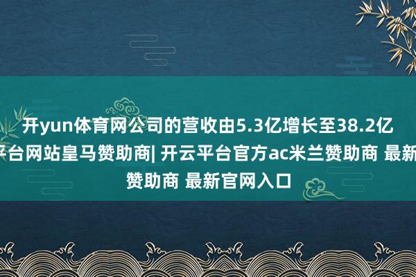 开yun体育网公司的营收由5.3亿增长至38.2亿元-开云平台网站皇马赞助商| 开云平台官方ac米兰赞助商 最新官网入口