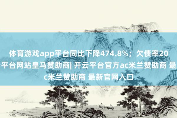 体育游戏app平台同比下降474.8%；欠债率20.36%-开云平台网站皇马赞助商| 开云平台官方ac米兰赞助商 最新官网入口