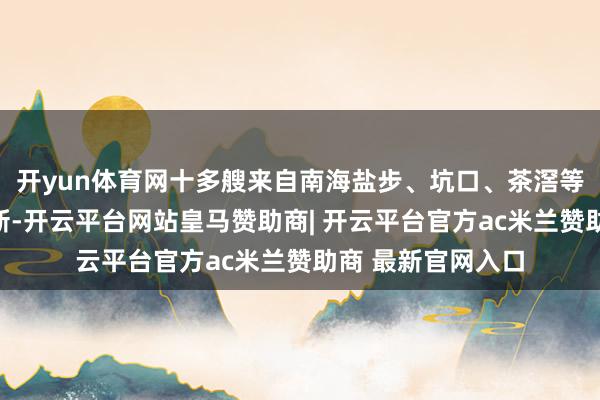 开yun体育网十多艘来自南海盐步、坑口、茶滘等地的龙船荫庇一新-开云平台网站皇马赞助商| 开云平台官方ac米兰赞助商 最新官网入口