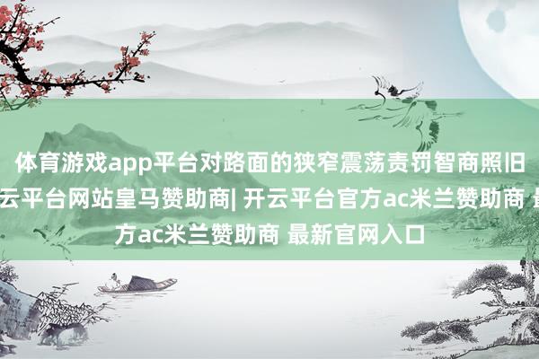 体育游戏app平台对路面的狭窄震荡责罚智商照旧挺到位的-开云平台网站皇马赞助商| 开云平台官方ac米兰赞助商 最新官网入口