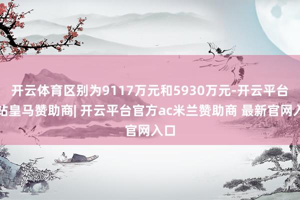开云体育区别为9117万元和5930万元-开云平台网站皇马赞助商| 开云平台官方ac米兰赞助商 最新官网入口