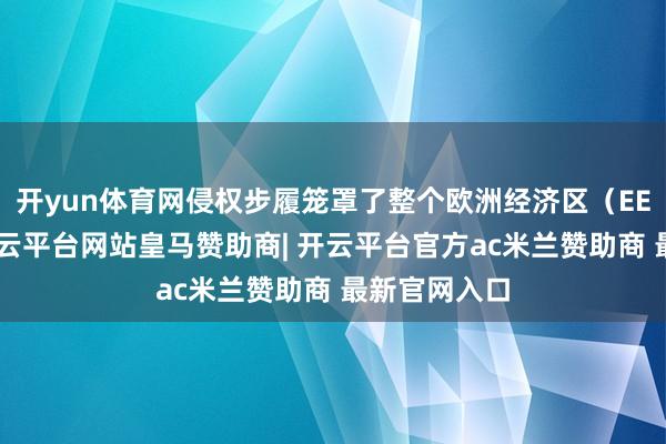 开yun体育网侵权步履笼罩了整个欧洲经济区(EEA)疆土-开云平台网站皇马赞助商| 开云平台官方ac米兰赞助商 最新官网入口